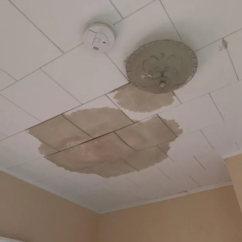 Ceiling Water Damage Repair in Baraga County, MI