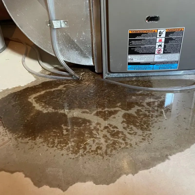 Pipe Burst and Leak Restoration in Baraga County, MI