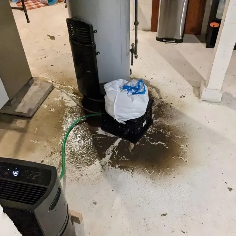 Sewage Backup Cleanup Service in Baraga County, MI
